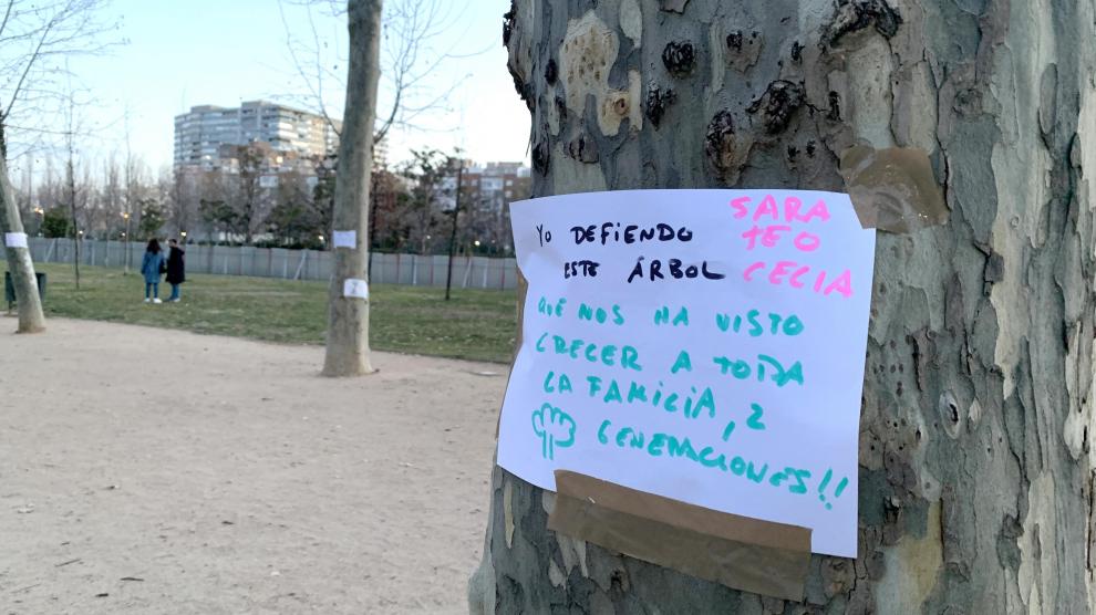 🌳Las obras de la L11 afectarán a 4 distritos y más de 1.000 árboles.

🔴Nos oponemos a la destrucción desmesurada de parques y jardines a lo largo de su trazado. 

¿Quieres conocerlos? Dentro hilo👇

#YoDefiendoEsteArbol 
#MadridVerdeHabitable 
#AlmeidaArboricida