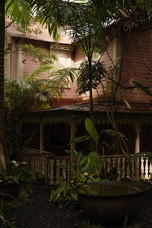 Matt Wilson on Twitter "Had a fabulous lunch yesterday at The Pink