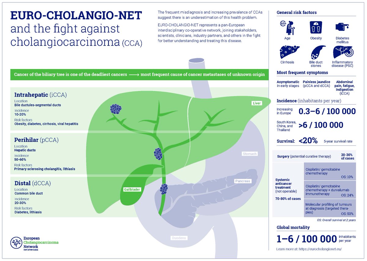 📢🗓️ Today is #WorldCCADay! 

<a href="/CholangioNet/">EURO-CHOLANGIO-NET</a>, we coordinate efforts to advance the understanding of CCA &amp; translate basic research into clinical practice 👉eurocholangionet.eu 

✍️ Sign the CCA pledge to raise awareness &amp; increase education of CCA: bit.ly/3HvXtcP