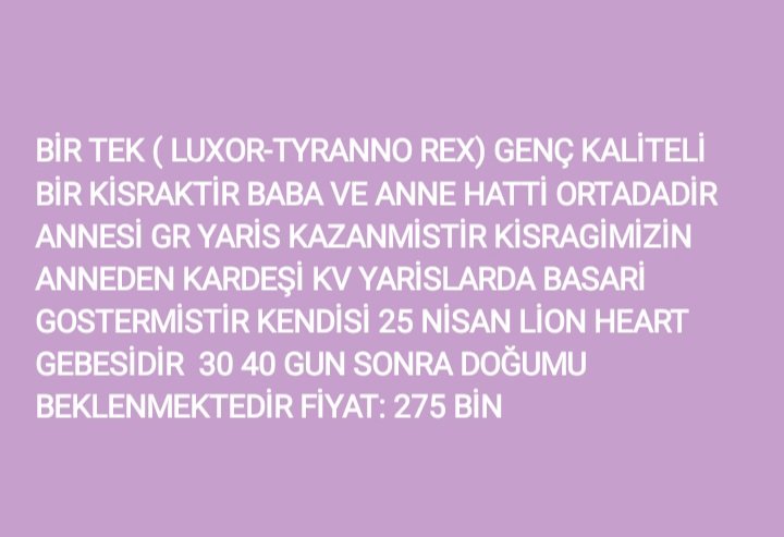MetinMfg's tweet photo. @SAFAKADALI Sümer Studtan Satılık #SatılıkGebeKısraklar #TercihliKısrak ve #BoşKısrak @varmitalip @sevketberbroglu @GokhanAksuGOLD #Eloin,#Demeter,#Birtek @istinyeganyanb @TahminciAga https://t.co/ohLMh21WIr