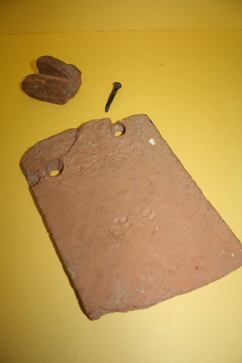 EFDMuseum's tweet photo. It is great when objects in the collection and our education resources match so children can interact with real historical objects. Here we have a pair of Roman tiles with paw prints on; one is used in an education workshop and one is in the collection.
#romantile https://t.co/RtvCnhETPS