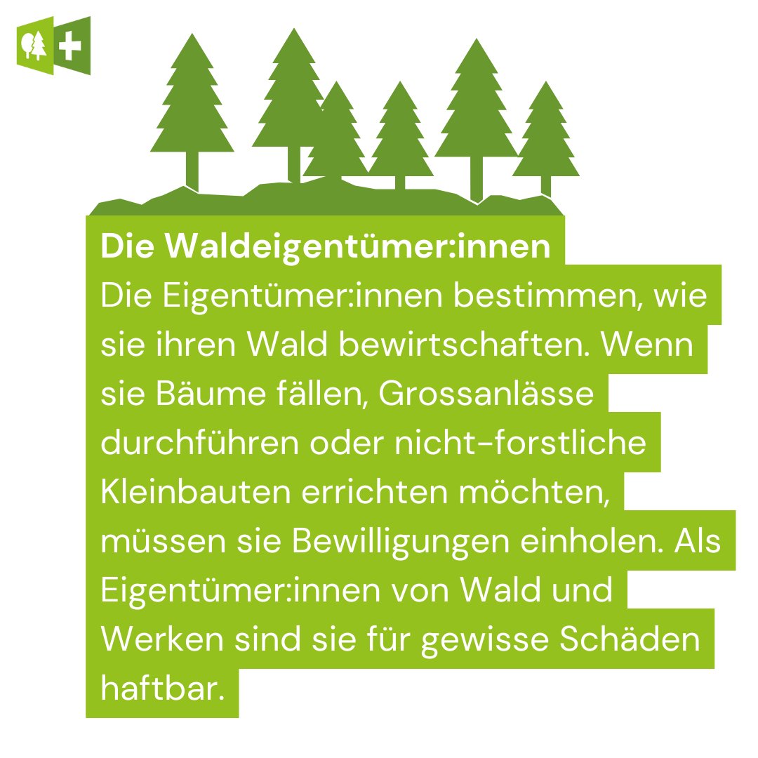WaldSchweiz's tweet photo. In der Art der Waldebewirtschaftung gibt es gewisse Freiheiten. Grundsätzlich sind Sie nicht verpflichtet, Ihren Wald zu bewirtschaften. Im 🛡️🌲Schutzwald oder entlang von Kantonsstrassen kann der Kanton jedoch eine minimale Pflege vorschreiben. https://t.co/moafzzmnYe @bafuCH https://t.co/bhNkAPlIka