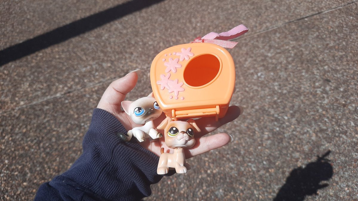 lps_moonlight's tweet photo. I got these at the flea markets for $1 each! I know the shorthair is very common but even after a year and a half of collecting I never seemed to find it! I feel so lucky!
#lps #littestpetshop #fleamarkets https://t.co/LtFN6UNfMR