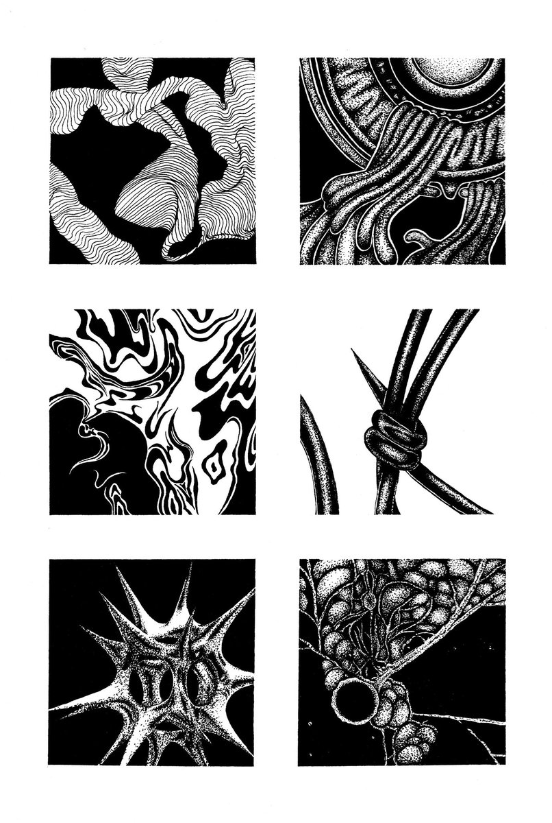 box/6
creation time/2days