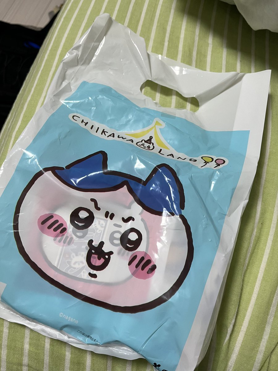 通院の帰りにちいかわらんど見たらなんか並んだら入れそうだから野次馬で入って可愛いやつ買っちゃったわ 