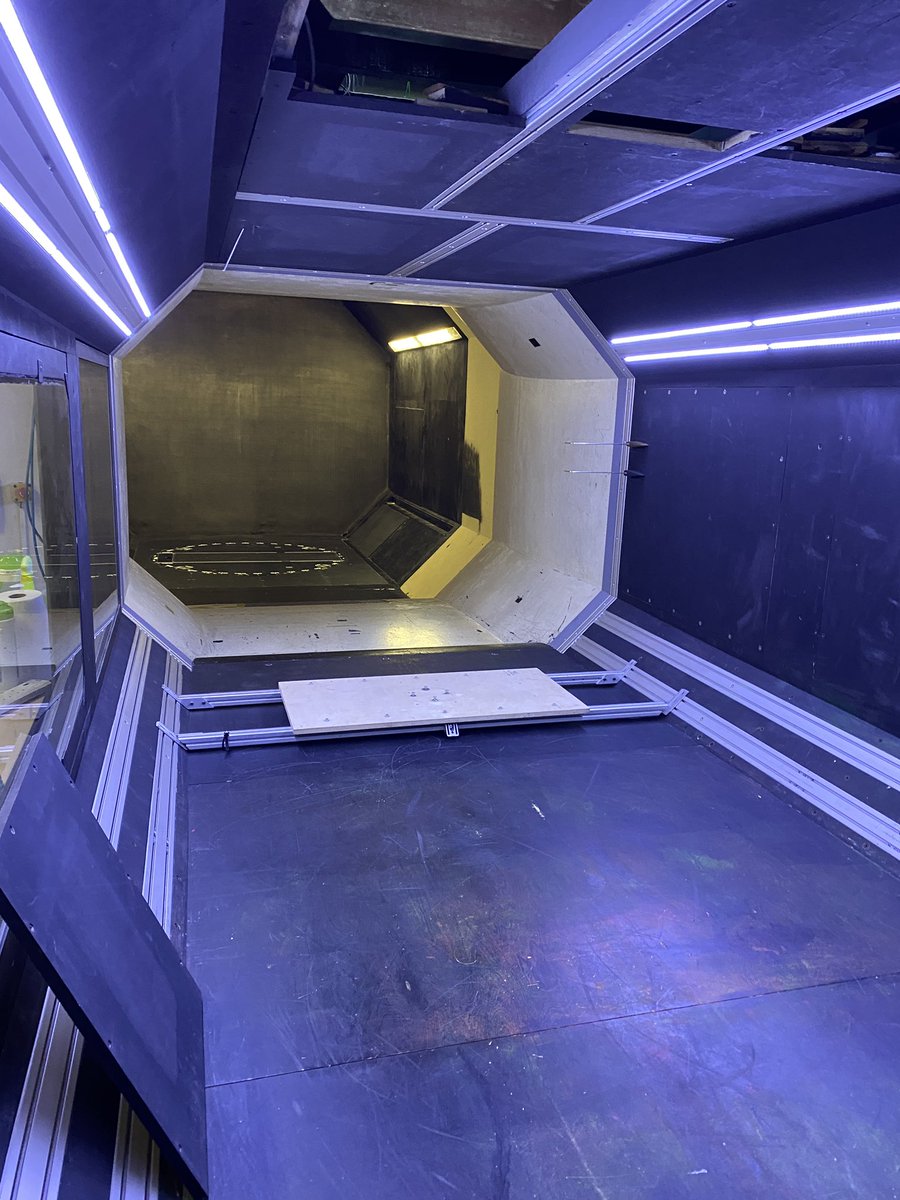 Catherine Leech tweet media