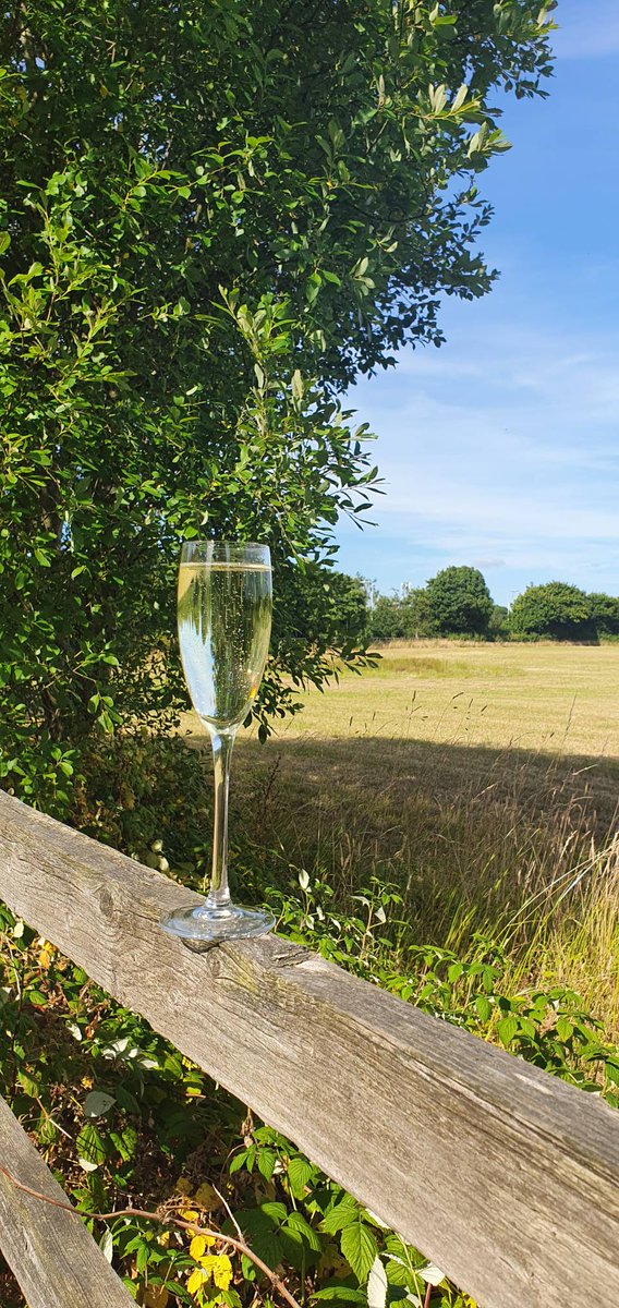 The Partridge tweet media