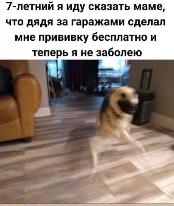 Кирилл Эм tweet media