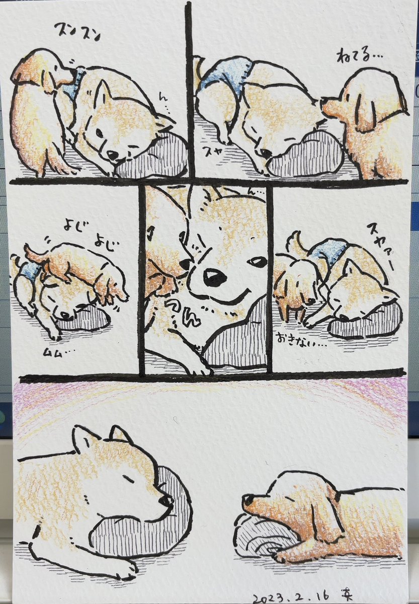 絵手紙

去年の今頃を思い出して

#グミ王子
#柴犬銀次郎
#真希ナルセ 