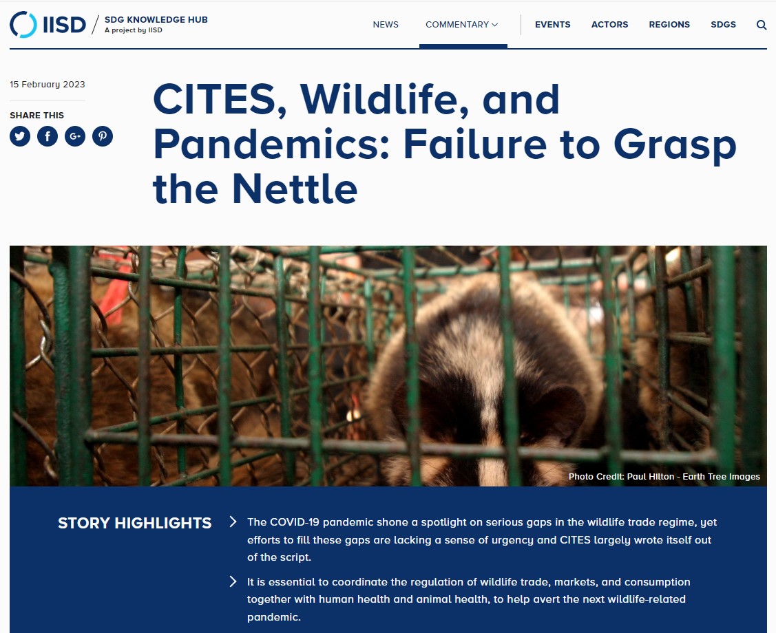 'CITES, Wildlife, &amp; Pandemics: Failure to Grasp the Nettle.' Joint guest article for <a href="/IISD_SDGs/">IISD SDGs</a> with <a href="/DanAshe/">Dan Ashe</a> &amp; Sharon Deem where we explore efforts to prevent the emergence &amp; spread of #zoonotic diseases &amp; look ahead to the next 50 years #OneHealth #CITES bit.ly/40Tw78l