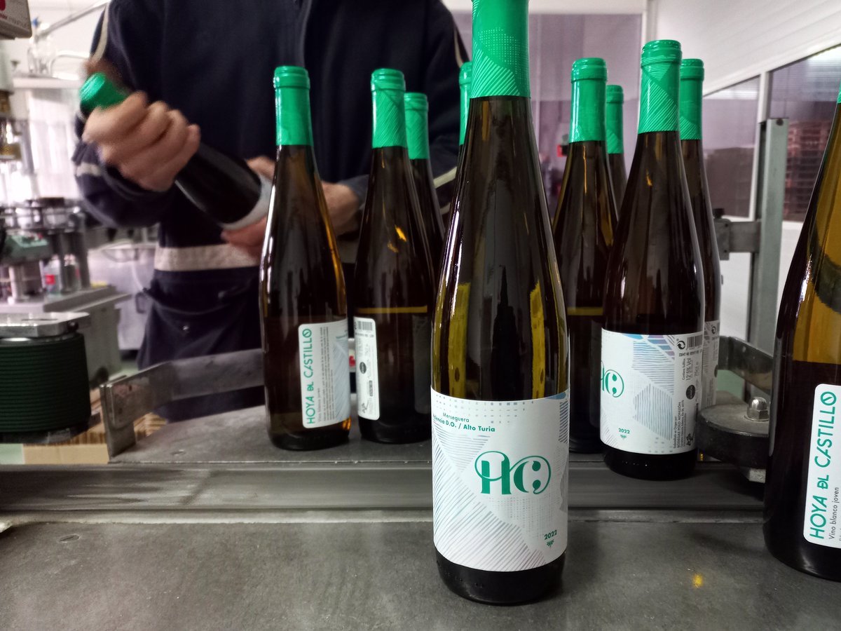 Ya hemos puesto a punto la embotelladora. Aquí están las primeras botellas de nuestro blanco de #Merseguera de la cosecha 2022 en su flamante botella Rhin alta 🥂#AltoTuria <a href="/VinosDOValencia/">VinosDOValencia</a>