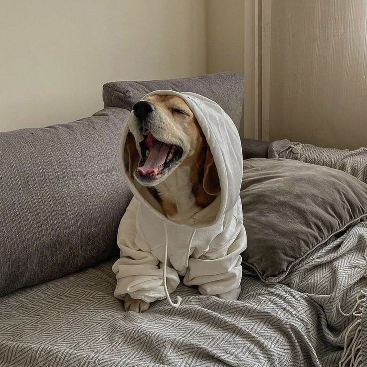 ⠀⠀⠀ ͏͏͏͏͏͏

 ͏͏͏͏͏͏ ͏͏͏͏͏͏

 ͏͏͏͏͏͏ ͏͏͏͏͏͏

⤷ big yawn.