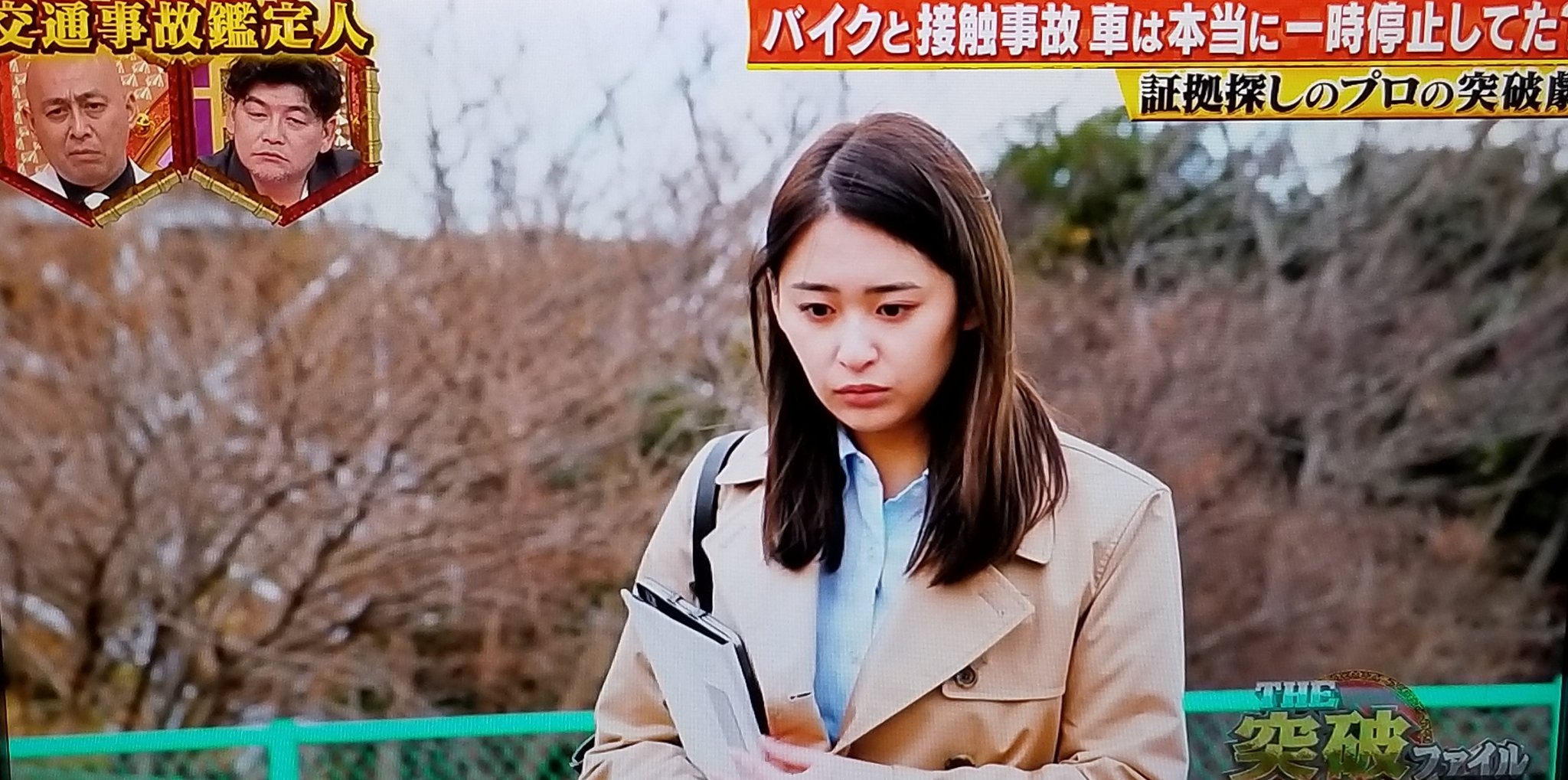 柳美稀  / X