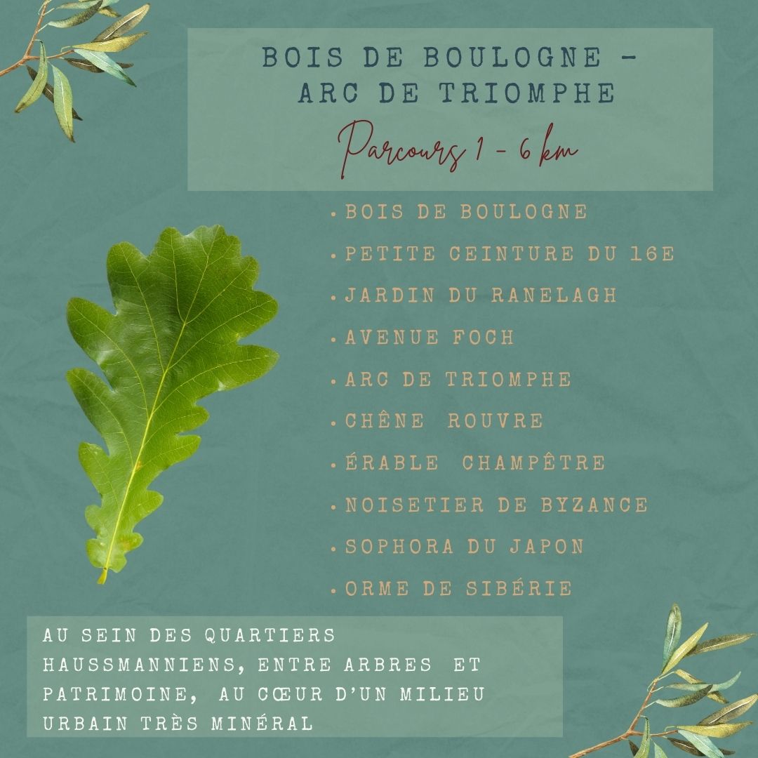 timonetpumbike's tweet photo. 1er parcours de l'Atlas de la Nature de Paris dans l'ouest parisien du bois de Boulogne à l'arc de Triomphe 🚴‍♀️🚴🌱
.
.
.
#atlasdelanature #igersparis #velotourisme #veloaparis #veloaventure #veloenfrance #boisdeboulogne #parisfrance #parismaville #pariscity #veloparis https://t.co/u861UWq0cX