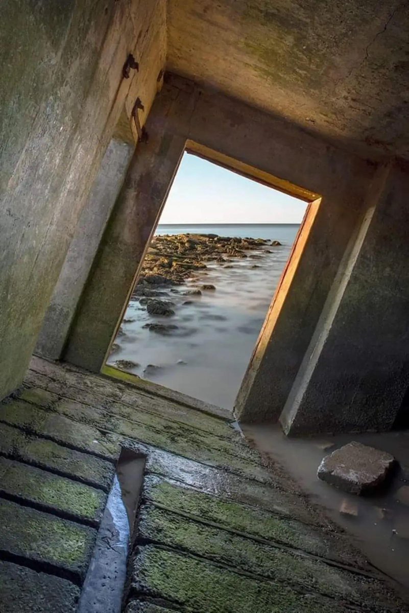 AlbumAura's tweet image. 