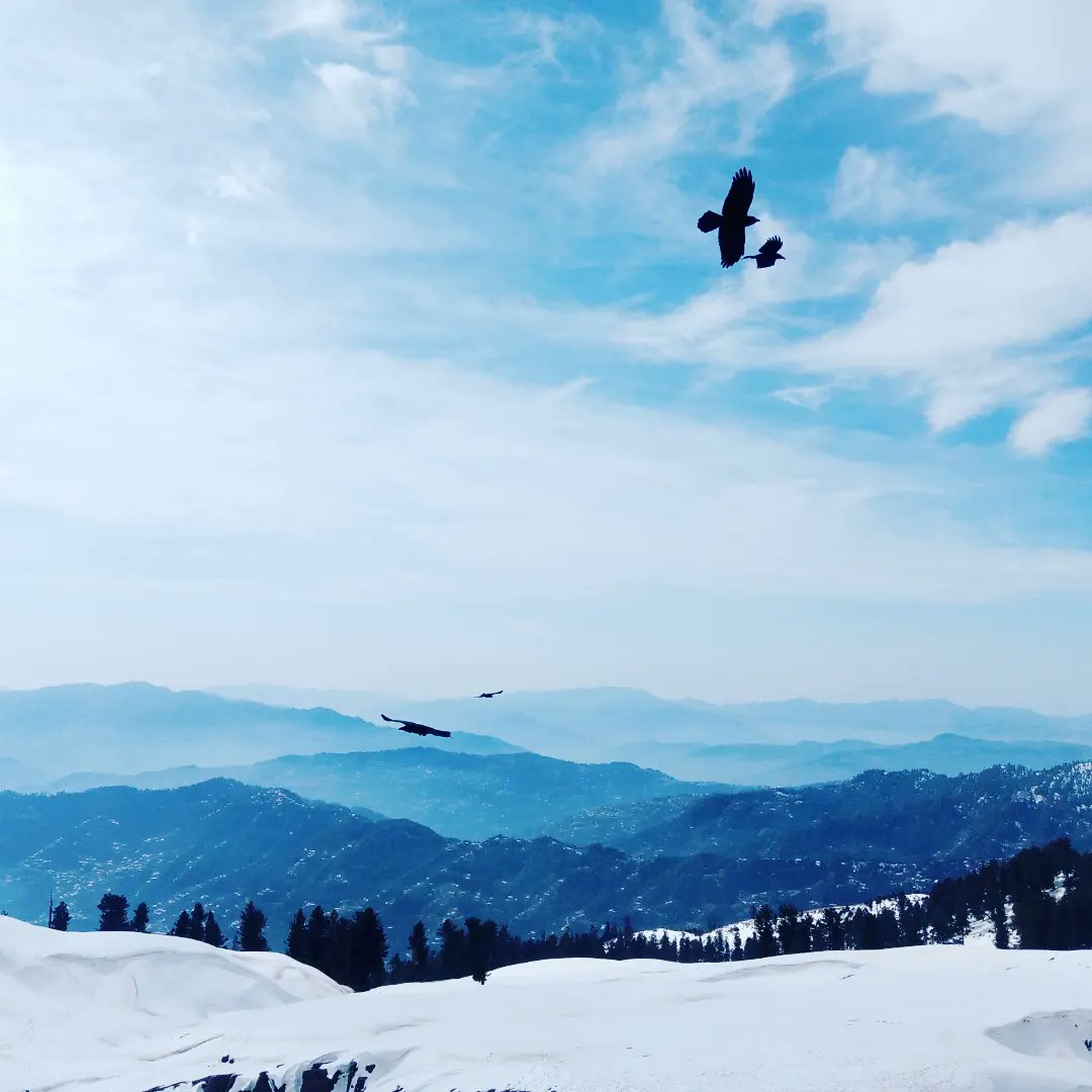 Misbahsarfraz_'s tweet photo. Kashmir heaven on earth
#kashmir #beautfulplace #snow #TuerkiyeTekYuerek #ImranKhan #PathaanDay https://t.co/RDYRa7J2lV
