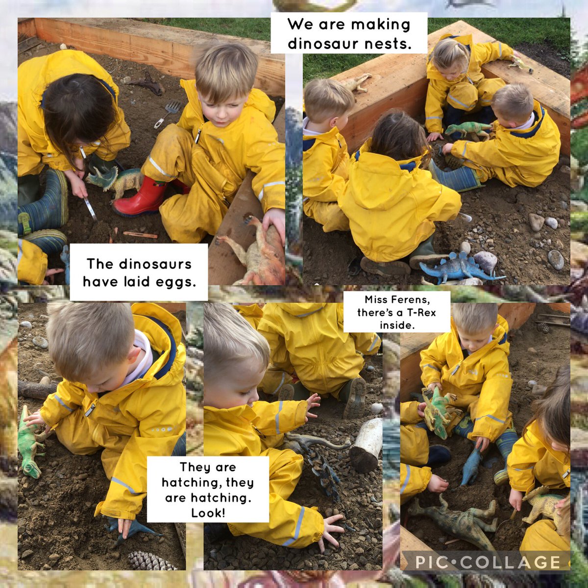 BaderPrimary's tweet photo. This morning, Nursery are making nests for the dinosaurs in the digging pit. #BaderNursery #Buildingimagination #Communicationandlanguage #EYPDP https://t.co/kXDhLzbRLY