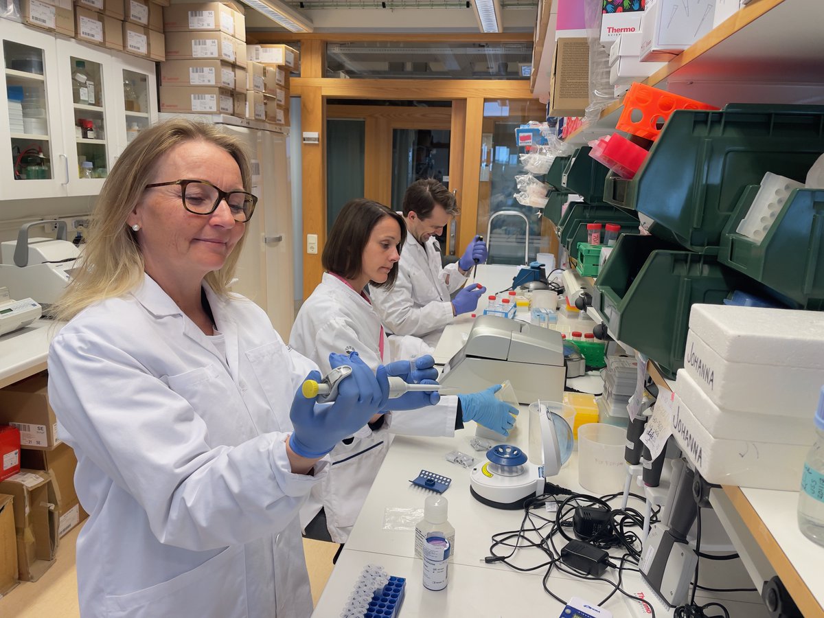 DiabetesLUDC tweet media