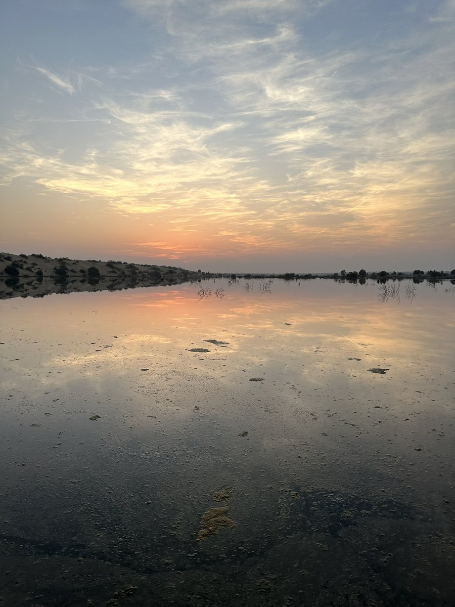 NadirALeghari's tweet photo. Beautiful desert evening! https://t.co/ORtAZcvO6r