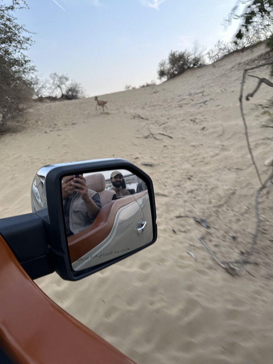 NadirALeghari's tweet photo. Beautiful desert evening! https://t.co/ORtAZcvO6r