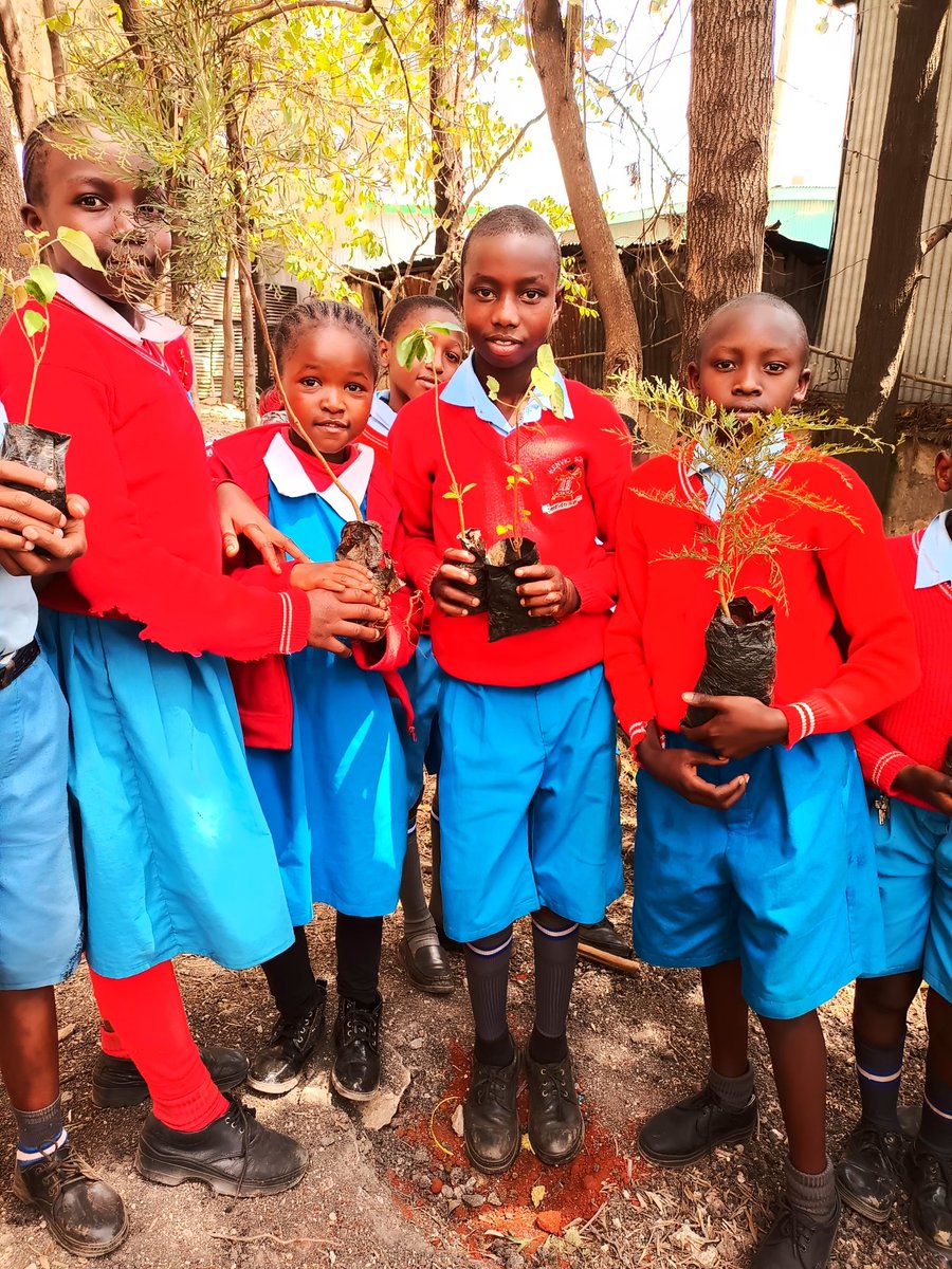 J_YouthAdvocate's tweet photo. Trees Play Important Roles In People's Lives. They Provide Unquantifiable Benefits such as:
a. Improving The Climate
b. Regulating Stream & River Flows
c. Conserving & Protecting The Soil Mantle
d. Providing Stable Habitats For Worldlife.
#TreesChallenge
#Trees https://t.co/FvP7Dp9FUj