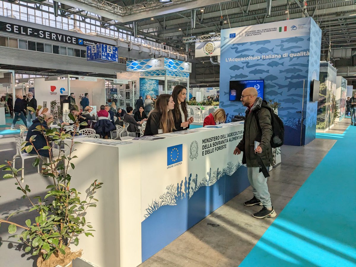 HelloFish_info's tweet photo. Vi aspettiamo a @AquaFarmExpo con il progetto #HelloFish #acquacolturasostenibile #pescasostenibile https://t.co/7xD3ol0sJH