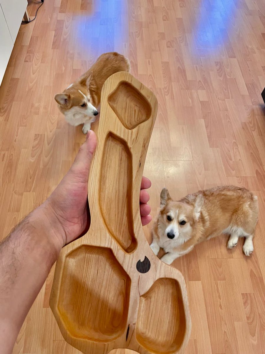 Pavel Frankov tweet media