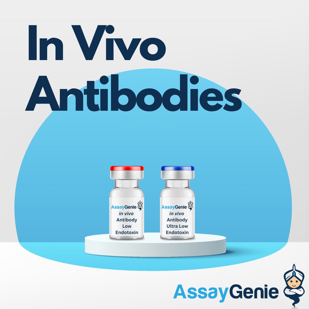 AssayGenie's tweet image. New In Vivo Functional-Grade mAbs from Assay Genie! Find out more below;

assaygenie.com/in-vivo-functi…

 🔬Ultra Pure
🐭 High Grade Abs for In Vivo Research
🛡️ Key Targets include PD-1, PD-L1, CTLA4