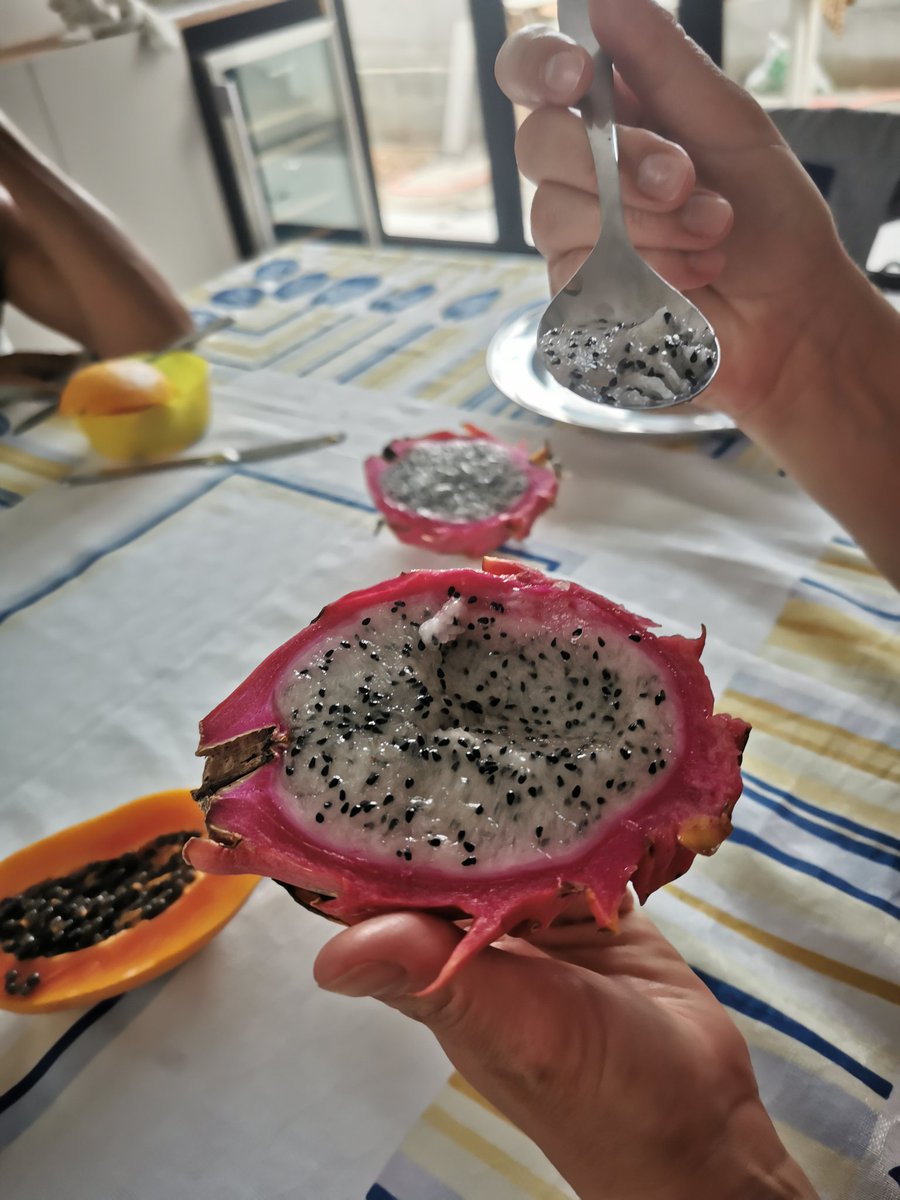 cataleirxs's tweet photo. Si heu vist pitaias (pitahaya o fruita de dragó) i encara no les heu tastat, sapigueu que tenen una textura similar a la del kiwi i, en contra de la seva apariència, no són gaire dolces.
#BioBR #TastemBR https://t.co/PdcE8YzdWt