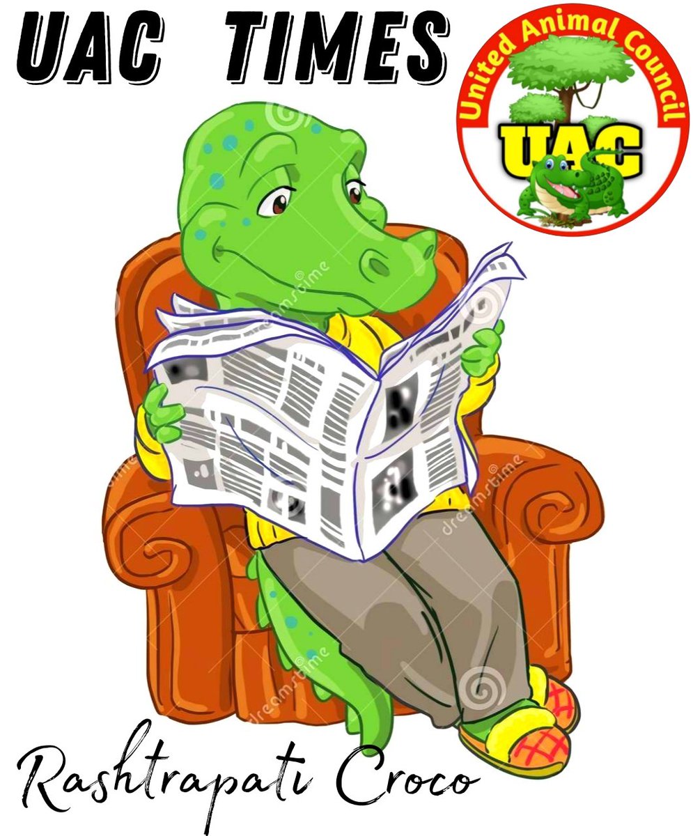 Croco_indic's tweet photo. Padhiye aaj ki taza khabren⚡🧙🏻‍♂️
Janiye hamare #UAC mein kya chulbuli harkate chal rahi hai 😃🐊😄

💫
Make your day interesting 
with today's #UACTIMES 🗞️ ✨
@uac_times 📰 🌟

 💕
#Yoga 🧘🏻‍♂️is important! 🙌

💟
#ChildrenOfCivilization 🏵️

💌
🌈👑#Croco 🐊🌊✨🏔️

🎂
☀️🍄🌻🌱❣️🙌💖💐 https://t.co/yidDEWv3kg