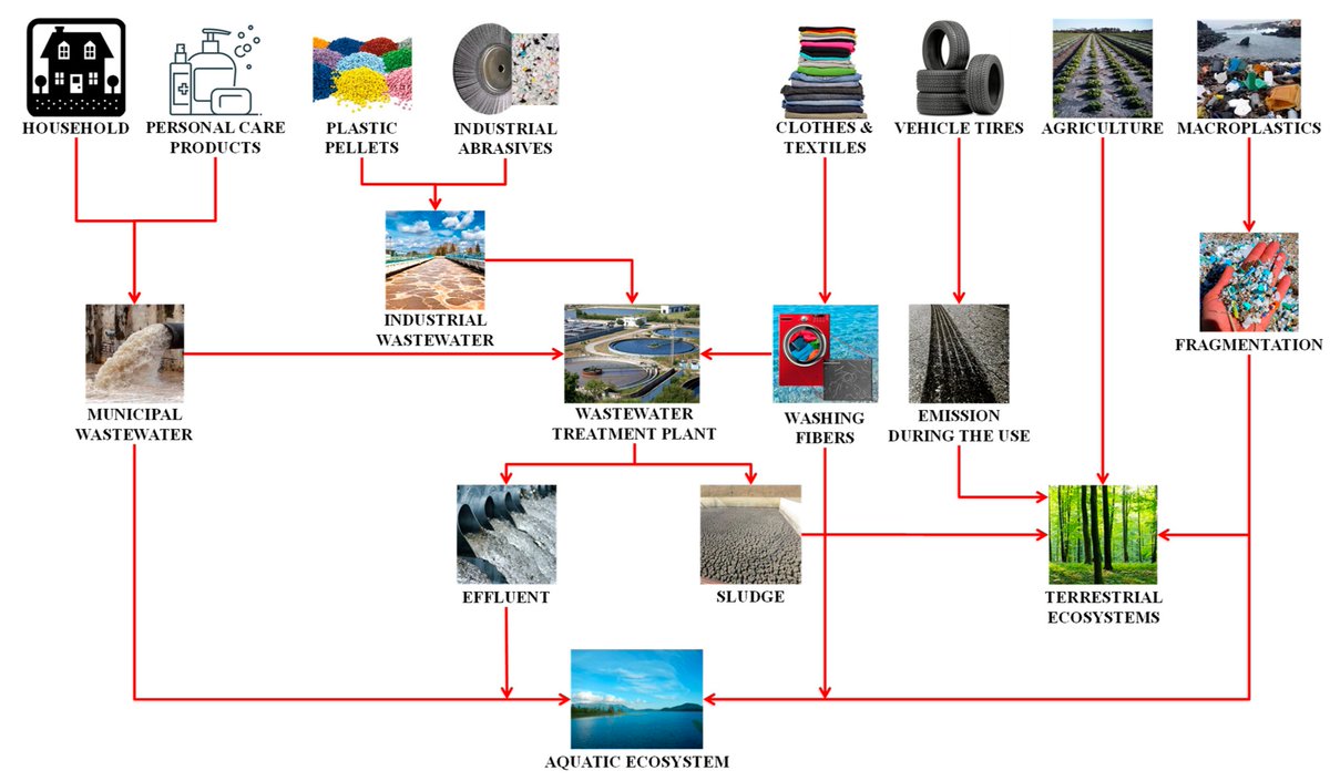 #WaterEditorialChoice Ecotoxicological Assessment of Microplastics in Freshwater Sources—A Review #microplastics  #freshwater #ecotoxicology 
View the full article athttps://www.mdpi.com/941220 #mdpiwater via <a href="/Water_MDPI/">Water MDPI</a>