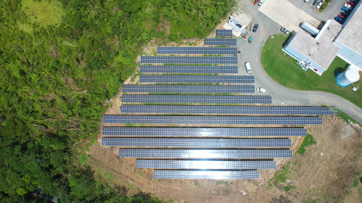 PASH GLOBAL tweet media