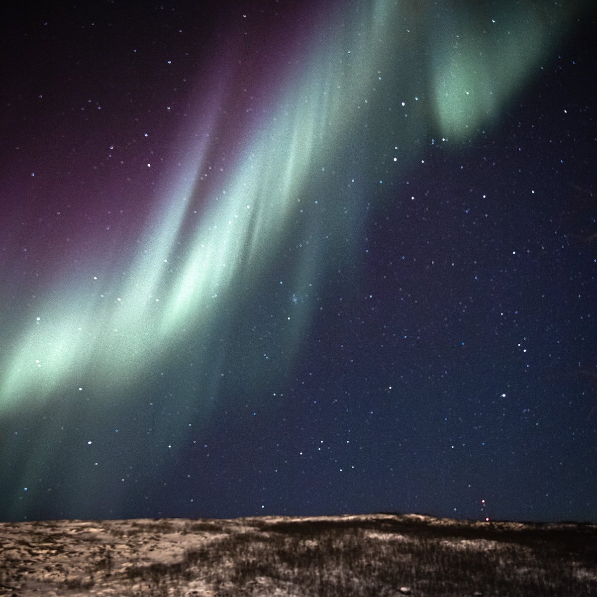 Splendid Northern Lights last night!
#northernlights #utsjoki