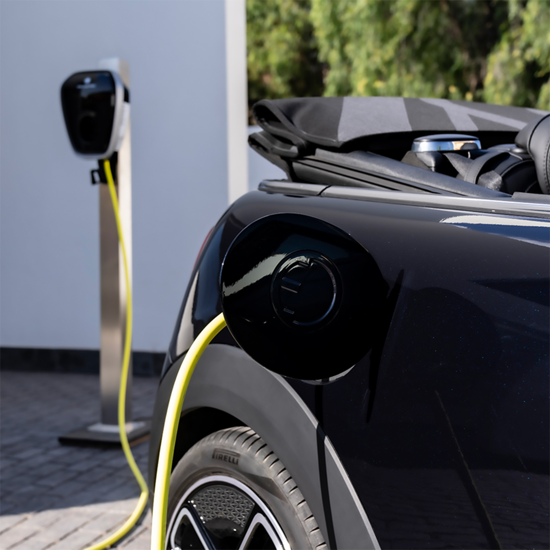 Partridge MINI tweet media