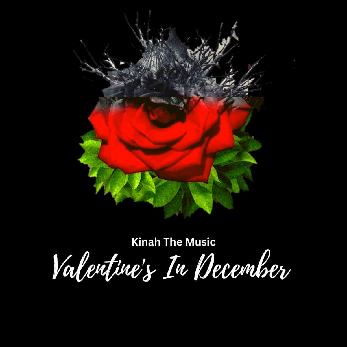 Kinah_zw's tweet photo. To those listening and sharing many thanks ❤️
#kinahthemusic #valentinesindecember #vidkw https://t.co/yVvfBtRuLn