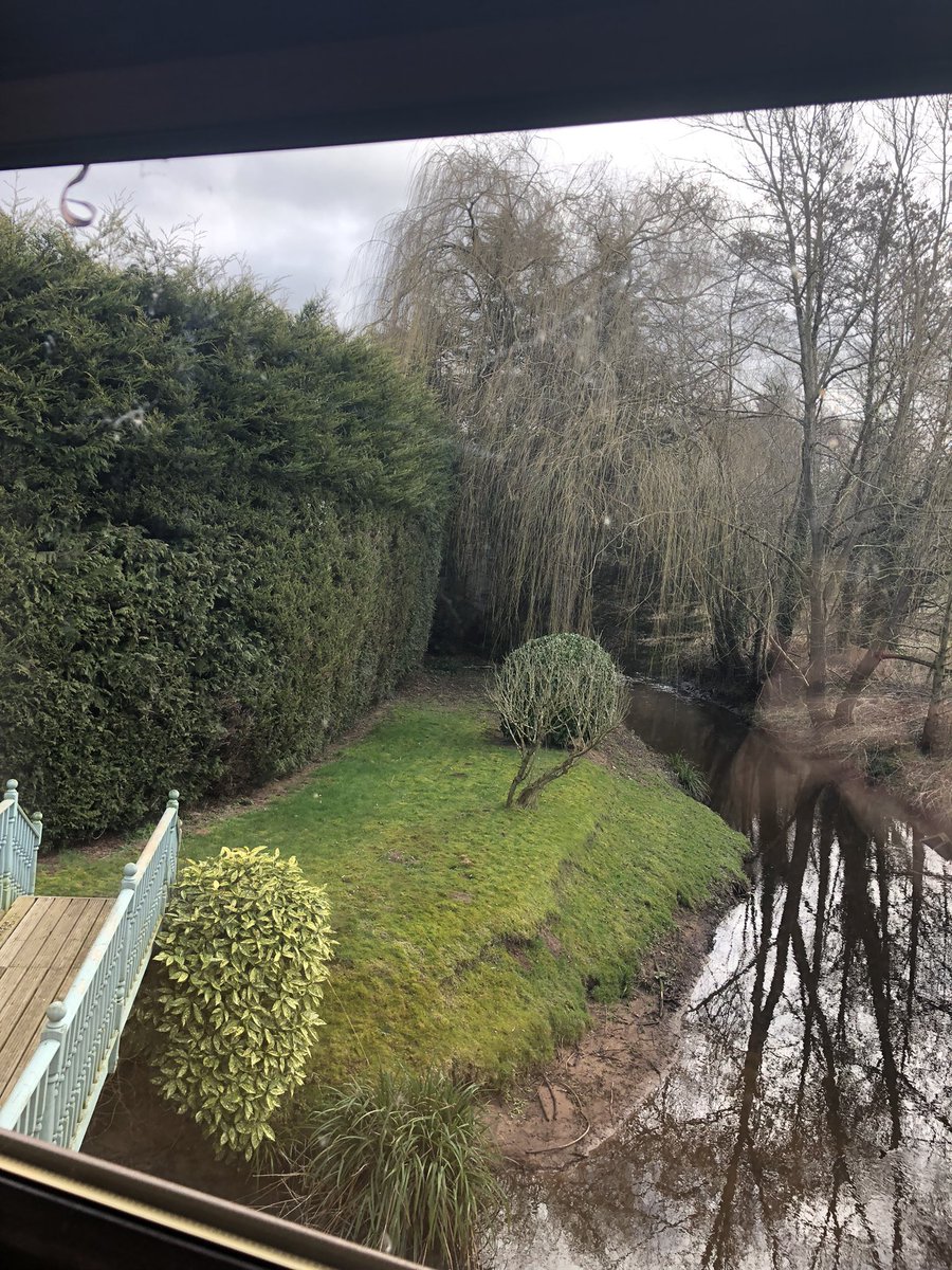 My view for the rest of the week - off to Chester soon for a walk 🚶‍♀️