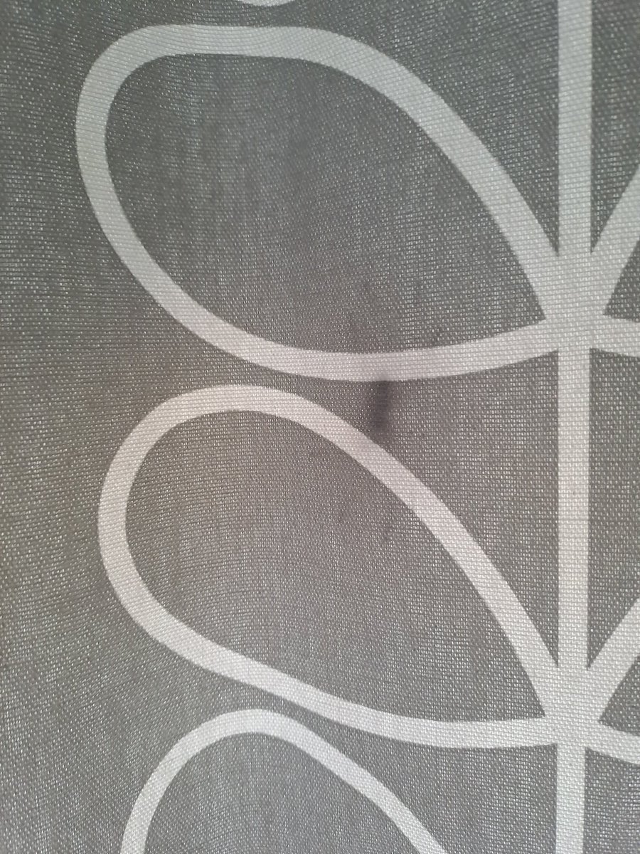 aoife long tweet media