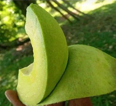 How do you call this in your local language?
