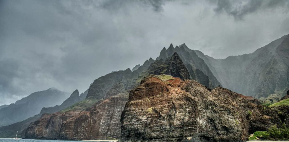 Dr Joseph M. Feagan tweet media