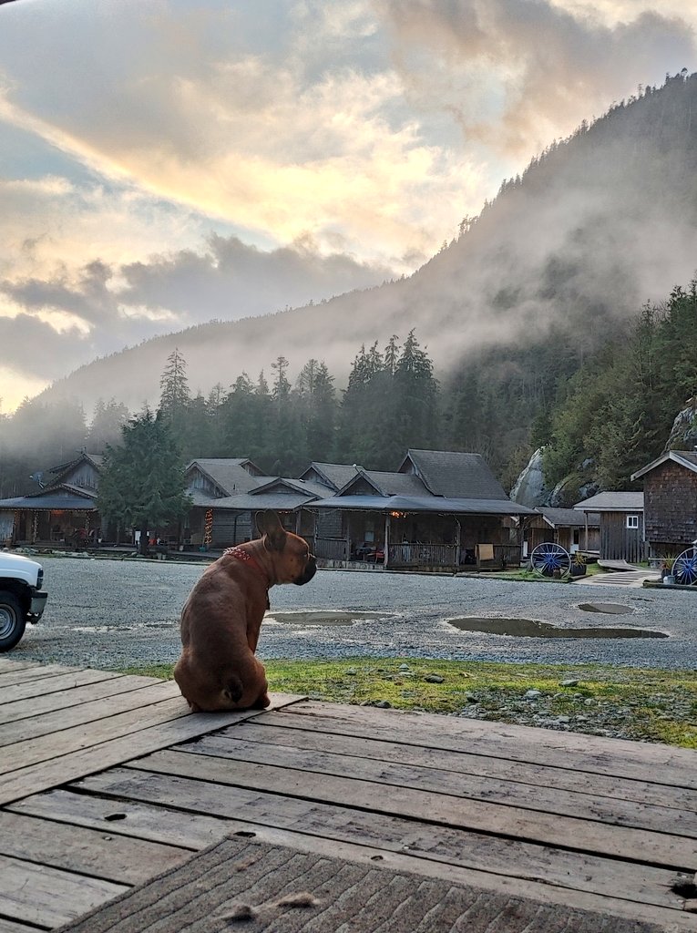 TheRPGer's tweet image. Some pictures from my (our) new job! We work in paradise 😍
@likethecolour12 @oscarindacity