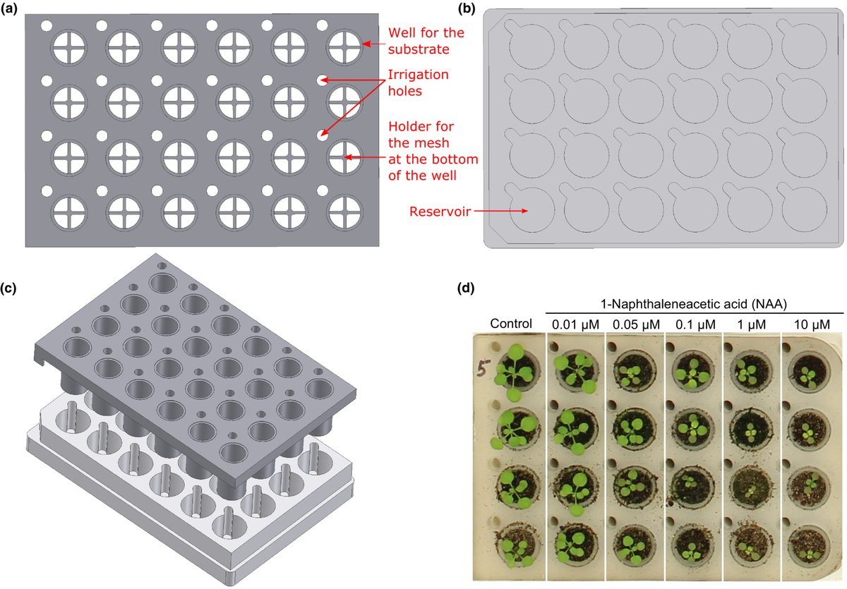 Researchers have developed PhenoWell®, a screening system in which individual seedlings are grown in wells filled with soil allowing single-plant treatments.

Learn how this screening system could impact crop yield in this <a href="/PlantEnvInterac/">Plant-Environment Interactions</a> article.

&gt;&gt;&gt; ow.ly/5A9R50MT7WO