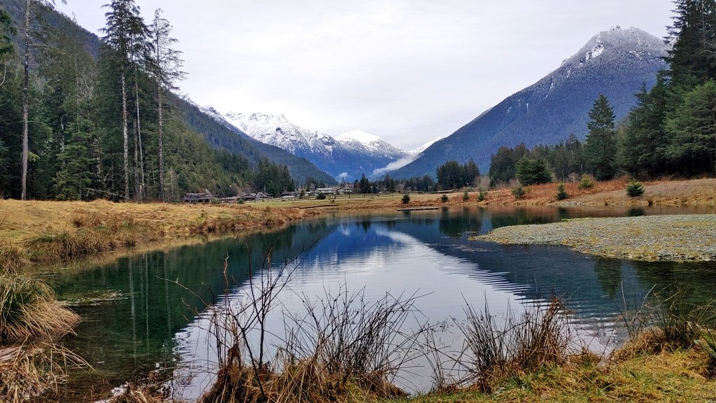 TheRPGer's tweet image. Some pictures from my (our) new job! We work in paradise 😍
@likethecolour12 @oscarindacity