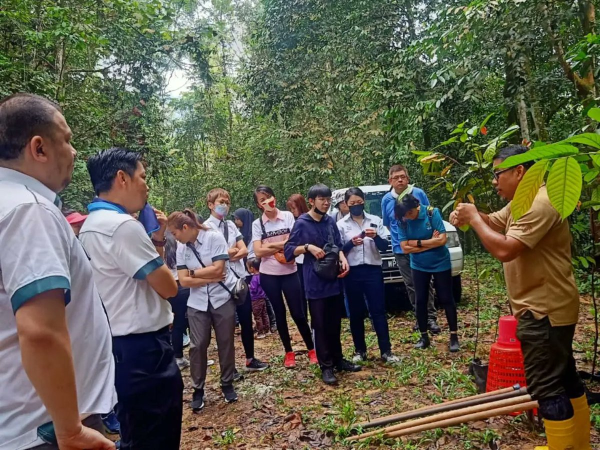 FRIMKepong's tweet photo. #KerjayaProperty tanam pokok di @FRIMKepong sbg aktiviti #csr serta sumbang kpd Kempen Penanaman @100JutaPokok.

#CSR_FRIM #PokokKitaKehidupanKita #OurTreesOurLife #100jutapokok #FRIMTanamPokok #TreePlantingFRIM https://t.co/VrAdNGXyyr