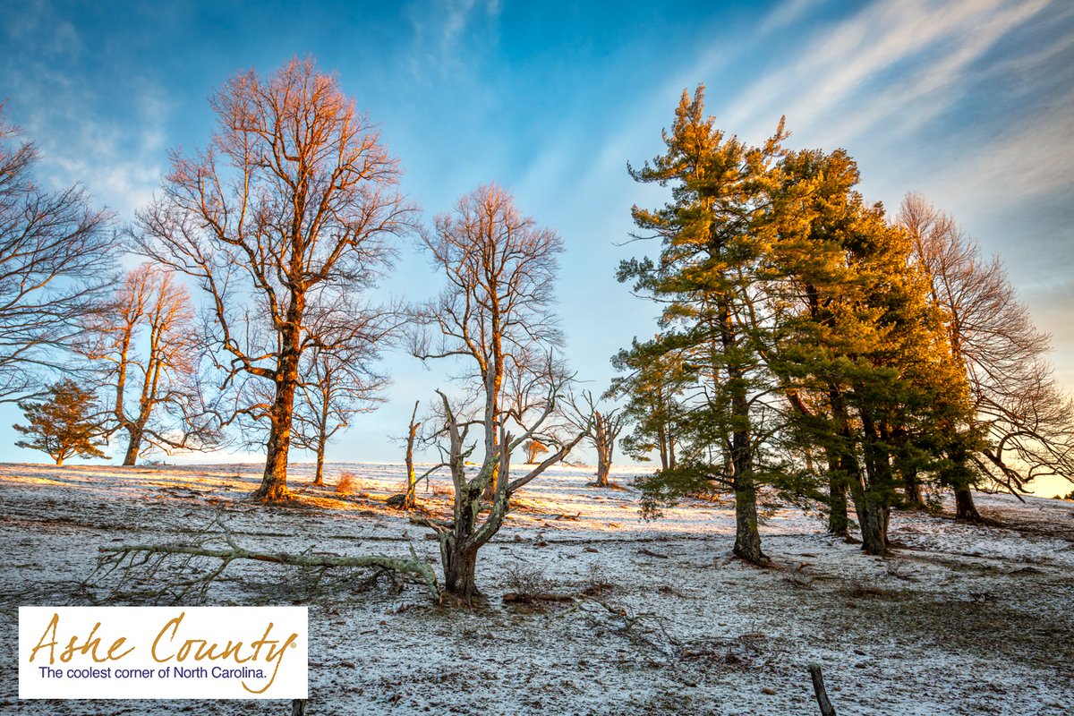 RealAsheChamber's tweet photo. Winter Pasture 😍

#ashecounty #ashecountync #visitashe #thecoolestcorner #westjefferson #blueridgeparkway #blueridgemoments #blueridgemountains #mountainlife #devilstairs #lovenc #canoethenew https://t.co/XBzDa5jNwj