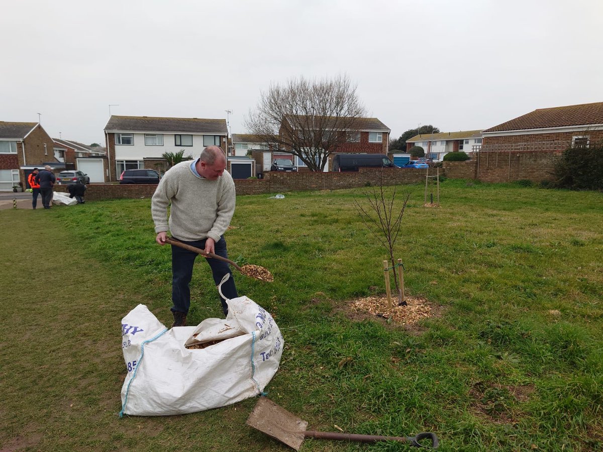 botany_of's tweet photo. Volunteers in the community fruit orchard/ #wildflower meadow at Knockholt Rd over the weekend. Spreading tree mulch around the @Growatbrogdale trees and fruit bushes. #Kent #Thanet #volunteering https://t.co/9JbOmzxOK9