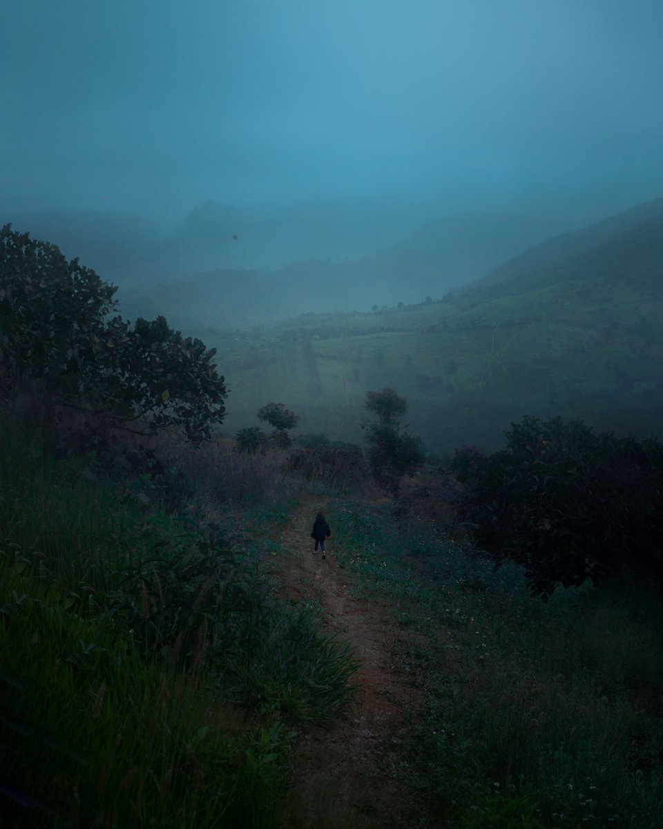 trungbaotr's tweet photo. colors of melancholy https://t.co/invEVlFyiw