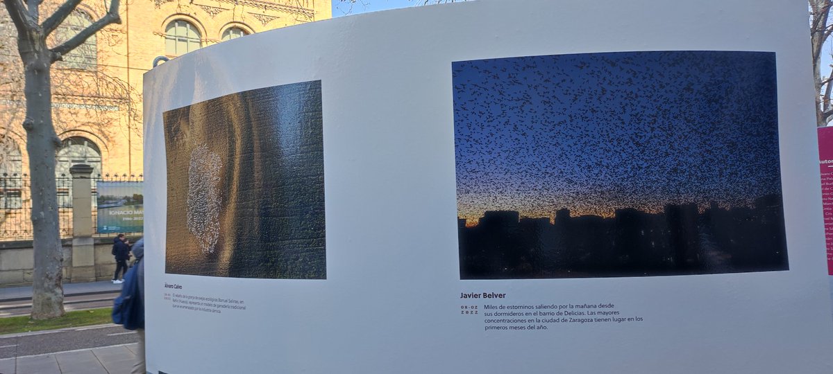 ItxaPsico's tweet photo. 📷Fotoperiodistas de Aragón 
@fotop_aragon realiza un recorrido por el 2022 en la exposición titulada "Yo lo vi".

👉La Gran Vía de Zaragoza será testigo hasta primeros de marzo de un ejercicio de responsabilidad y testimonio de lo vivido gracias al trabajo de 35 profesionales. https://t.co/KAEG0kqyLj