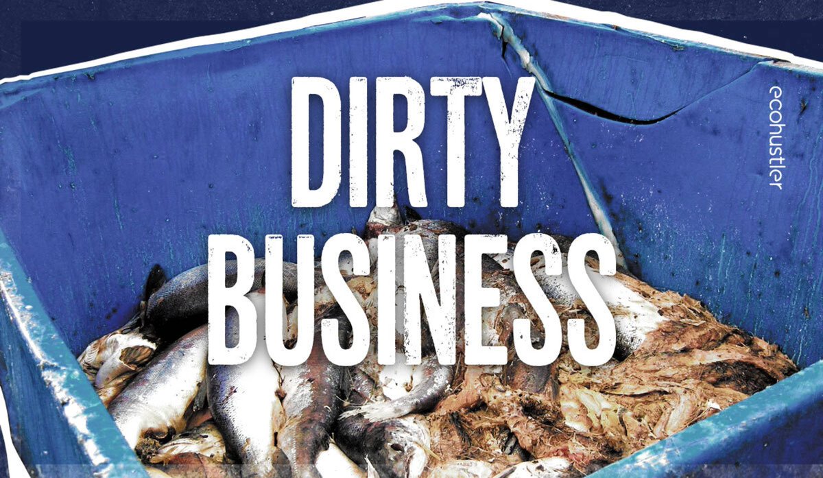 The problem with certified factory farmed #salmon 

The Aquaculture Stewardship Council (<a href="/ASC_aqua/">ASC</a>) has lowered its standards supporting the theory that it has been captured by the industry it is supposed to scrutinise

ecohustler.com/technology/the… 

#Animals #Food #Farming <a href="/ciwf/">Compassion in World Farming UK</a>