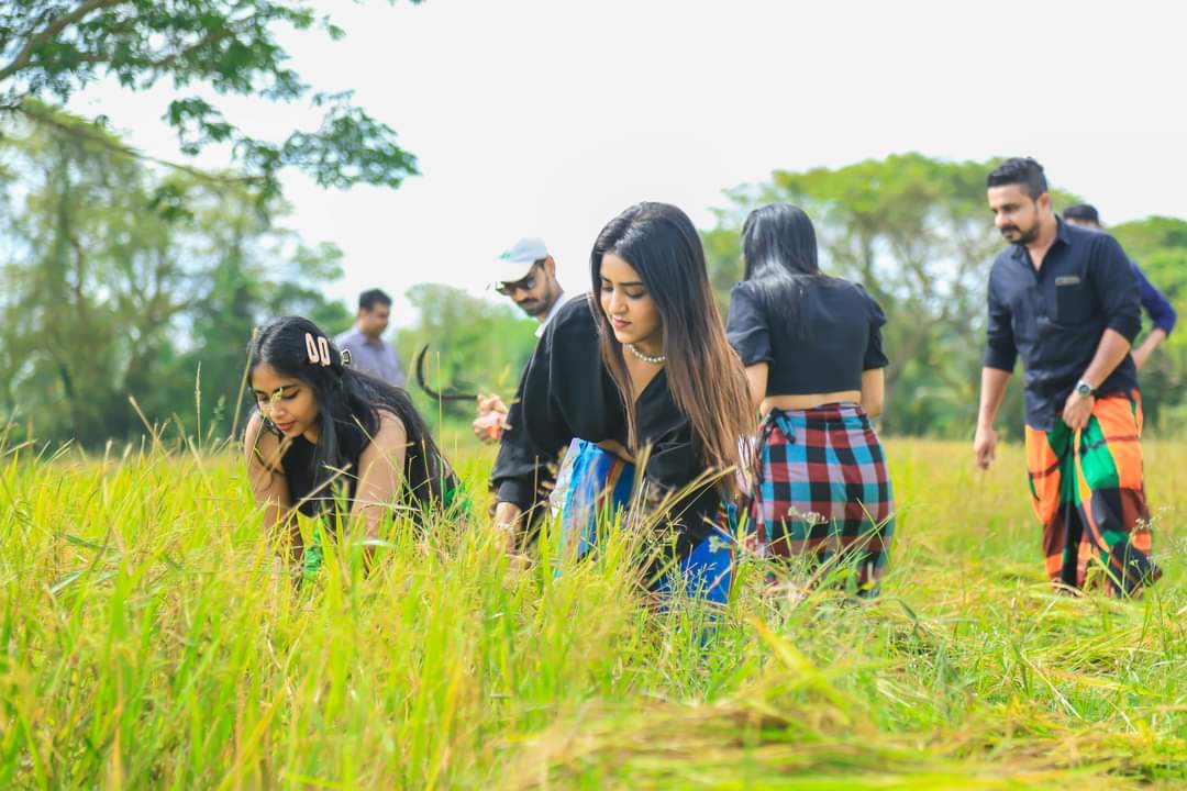 H_S_KandyHamu's tweet photo. රටේ මහ එකාගෙ ඉදන් බොරුව...රත්තරං එලවලු කැඩුවෙත් ඔය වගේ.. 😂
#Gflock https://t.co/sH1rpImB2T