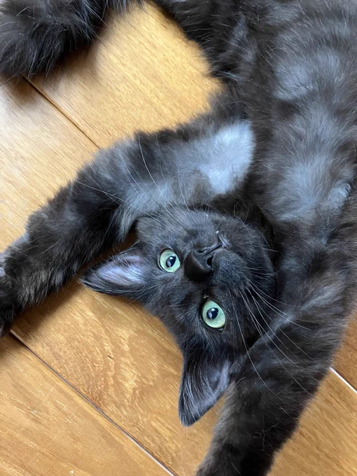 急にかわいい顔しよる 